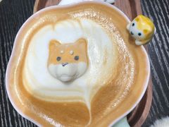 -逗柴咖啡屋·狗咖猫咖宠物桌游