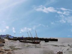 -日照海滨国家森林公园