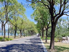 -东钱湖小普陀景区