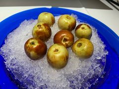 -四季民福烤鸭店(前门店)