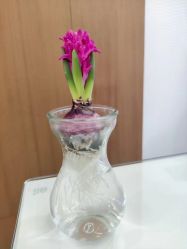 -SILKTONE诗丽堂美容