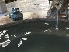 -福州贵安·温泉世界