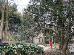 -莫干山风景区