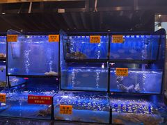 -蚝大仙横琴生蚝火锅(中央汇店)