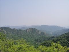 -大岭沟猕猴桃谷风景区