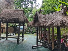 -西双版纳基诺山寨