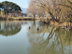 -长兴太湖图影湿地文化园