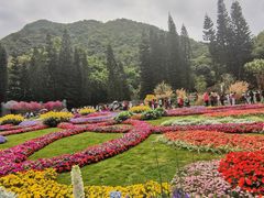 -深圳仙湖植物园