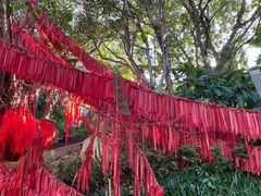 -曼听御花园