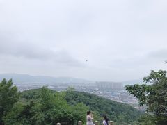 -灵岩山风景区