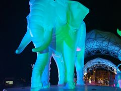 -清迈夜间动物园