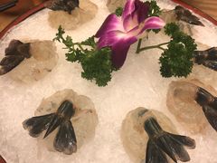 -沙龙酒家