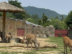 -杭州野生动物世界