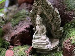 -泰悠谷养生SPA(世茂商业街店)