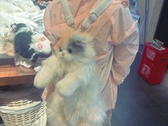 -番茄口袋(上海普陀区环球港店)