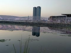 -维乐口腔医院(星海湾分院)