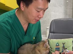 -瑞鹏瑞爱宠物医院·全科·猫科·血液透析中心(龙头寺店)