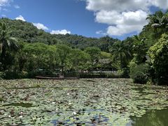 -野象谷景区