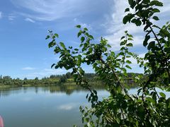 -东郊湿地公园