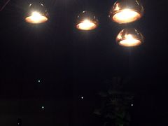 iphone_upload_pic-菩提素素食餐厅(晶郦馆店)