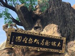 -大槐树寻根祭祖园