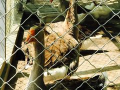 -北京宽沟会议中心