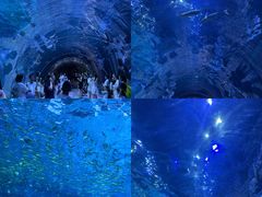 -华夏文旅西安度假区