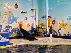 -太平洋海底世界