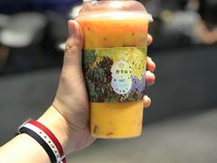 -野萃山·潮汕厚果汁(十亩地店)