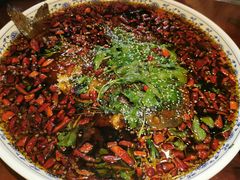 杨记招牌鱼-杨记隆府(白象街店)