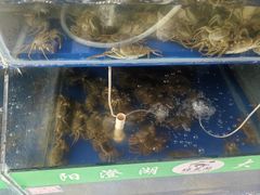 -阳澄湖大闸蟹·琼灵阁牌品牌连锁(吴中总店)