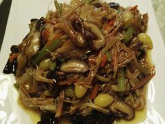 -丁老爷子苏香圆