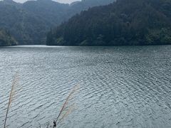 -云南屏边大围山国家公园