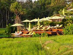 -四季酒店下午茶