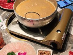 -禄婶鸡煲·打边炉