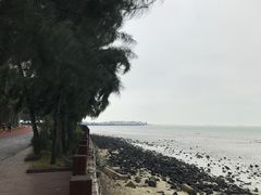 -万绿园