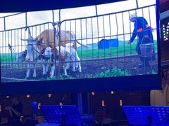 -肉串汪(望京店)