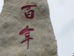 -曹州牡丹园