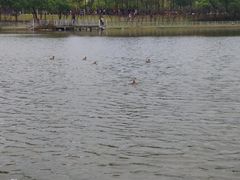 -美兰湖景区