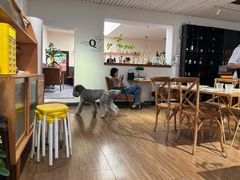 -沏点Trattoria意大利餐厅(新街口店)