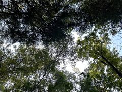 -梦姑塘文化公园