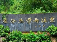 -野象谷景区
