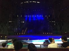 景点-灵玲国际马戏城