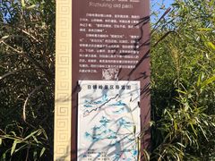 -会稽山峡洞漂流-上青古道