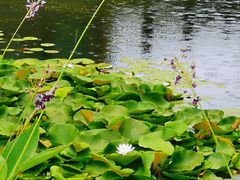 -湖州太湖旅游度假区-月亮广场