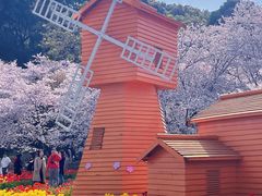 -苏州上方山国家森林公园