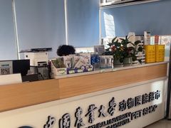 -中国农业大学动物医院