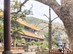 -普陀山风景名胜区-法雨禅寺