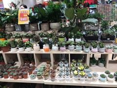 -AEON永旺(东方宝泰店)