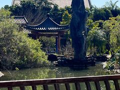 -广州神农草堂中医药博物馆